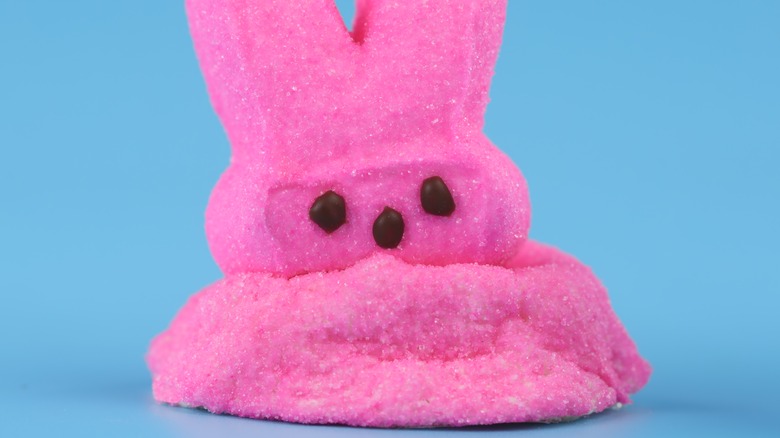 A sumushed pink bunny Peep