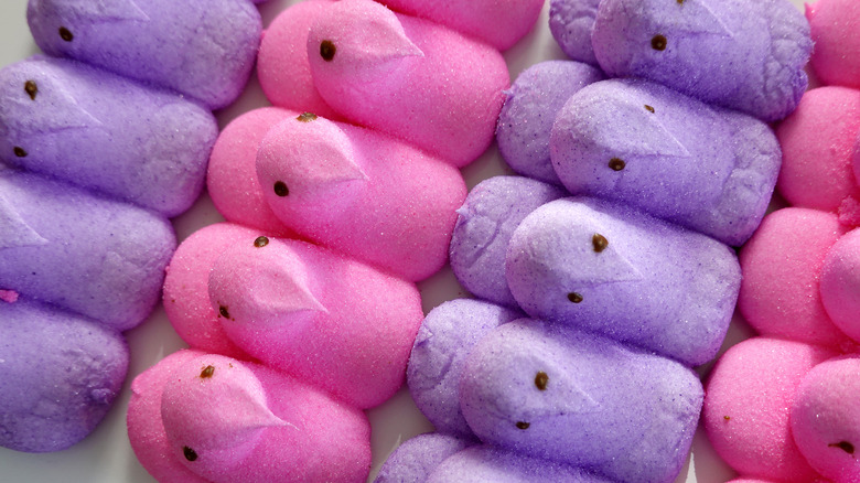Pink and purple Peeps chicks