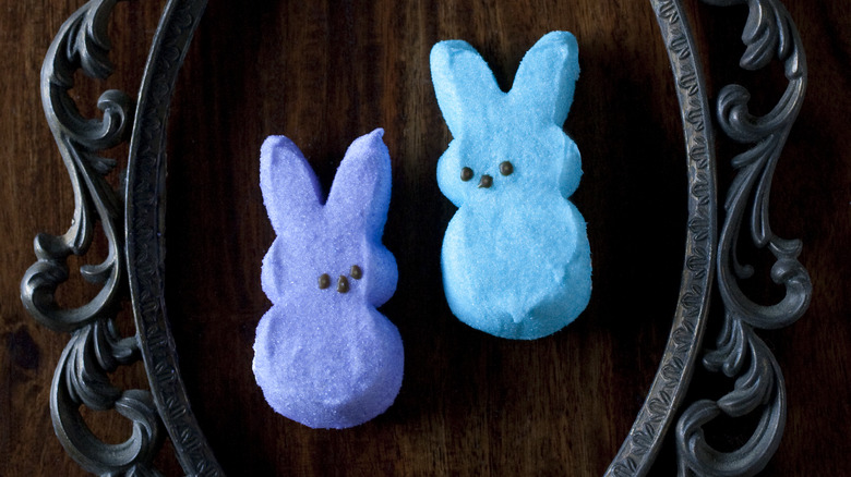 Bunny Peeps in picture frame