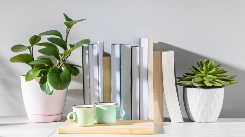 A collection of manuals  on a kitchen shelf