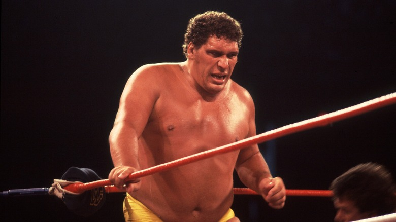 Andre the Giant wrestling