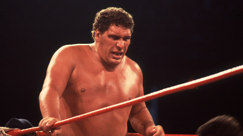 Andre the Giant wrestling