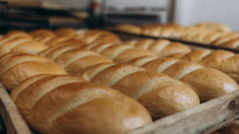 loaves in a bread factory