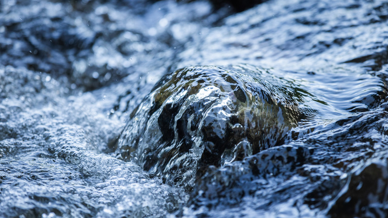 natural body of spring water