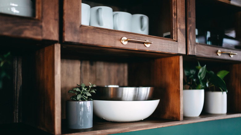 Kitchen cabinet with mugs and and open air shelf for bowls