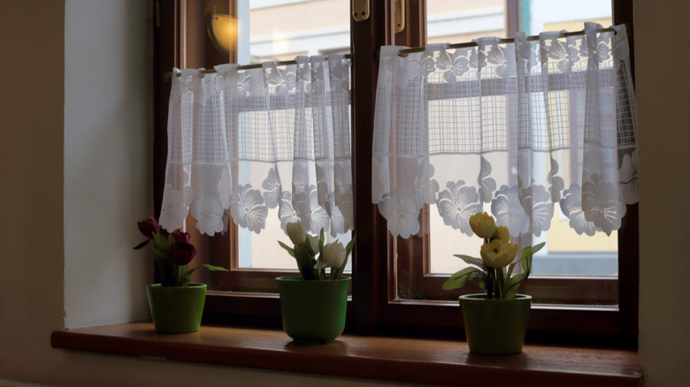 Lacy cafe curtains hang over a window