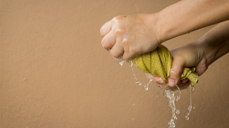hands wringing wet kitchen towel