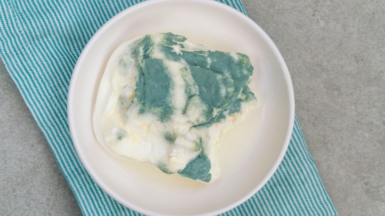 moldy yogurt in bowl