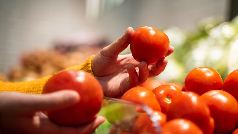tomatoes in a woman's hand
