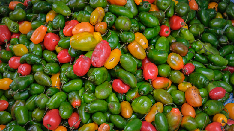 Different chili peppers