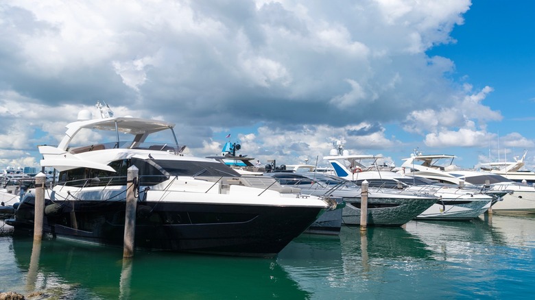 Yachts in Biscayne Bay, Miami, Florida