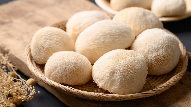 basket of lion's mane mushrooms