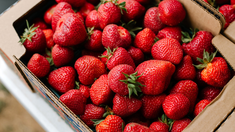A cardboard box full of ripe, red strawberries.