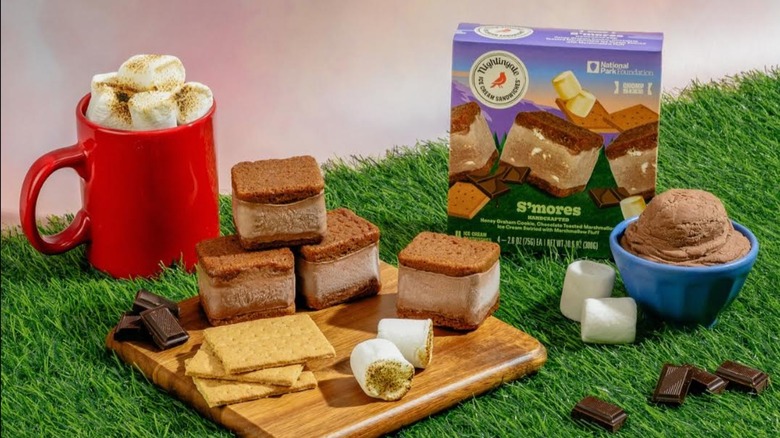 A box of Nightingale S'mores ice cream sandwiches on grass