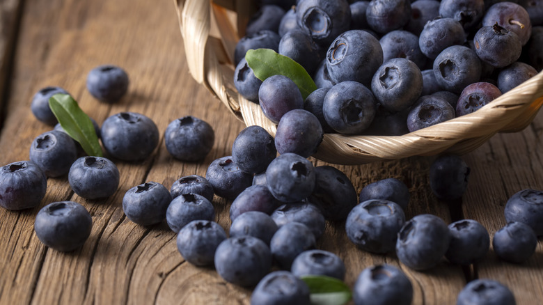 Fresh blueberries spilling out of a basket