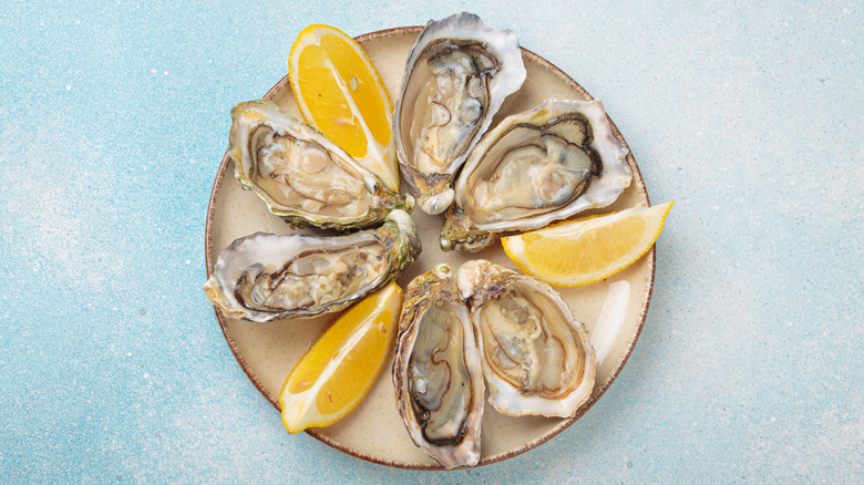a plate of oysters on the half shelf