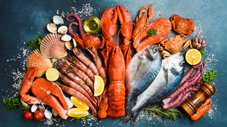 An array of seafood on a blue background
