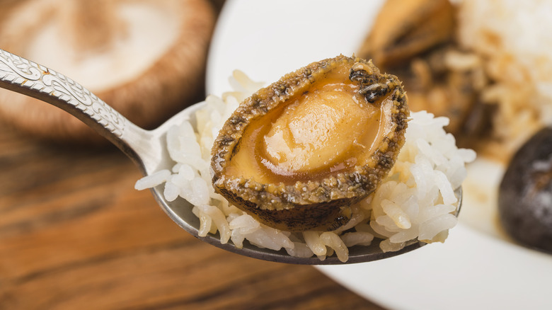 An abalone on a small bed of rice on a spoon.