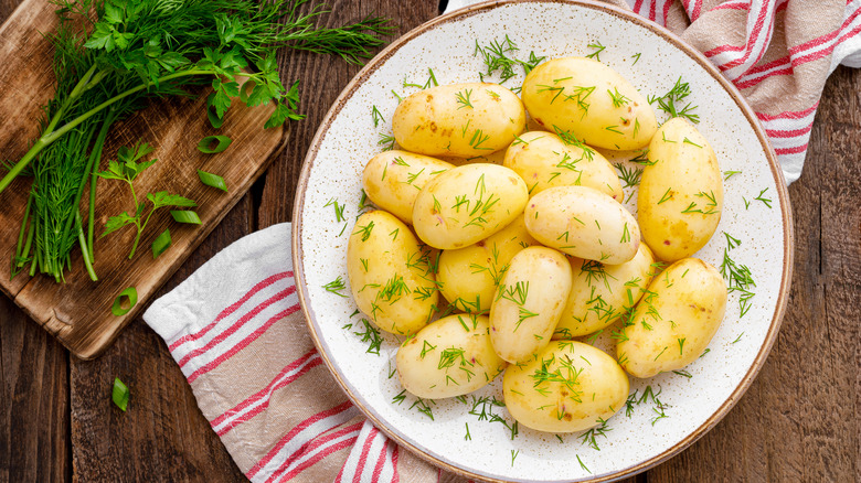 Boiled potatoes on a plate