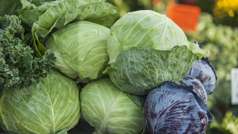 Various types of cabbage.