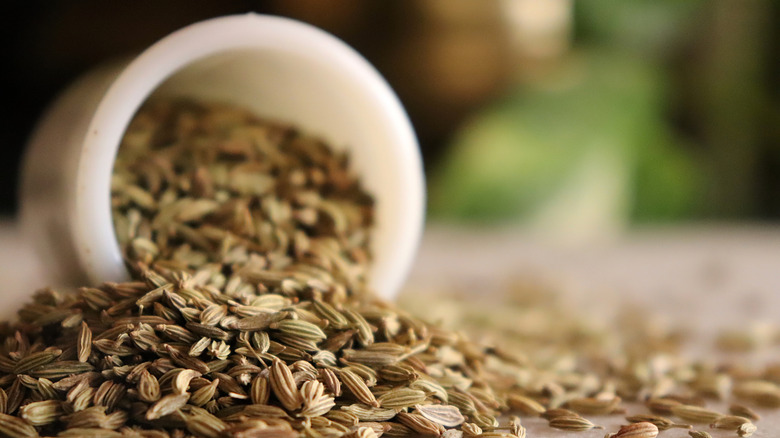 fennel seeds spilling onto a table from a white cup