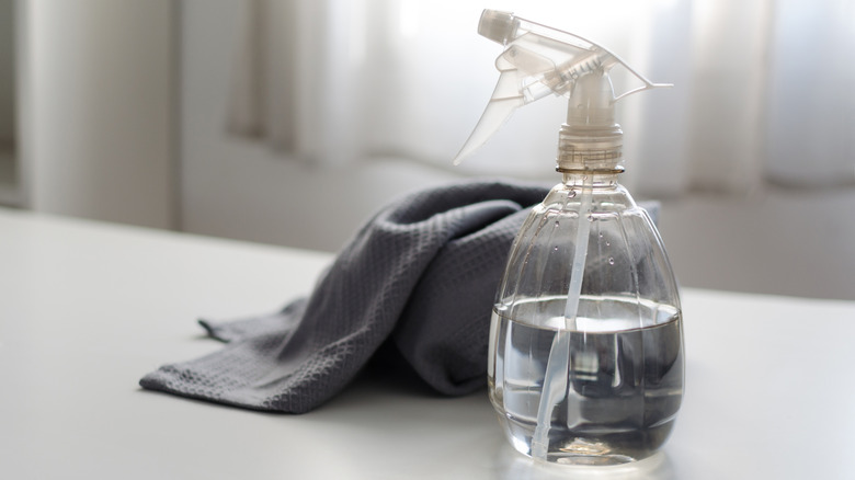 spray bottle with cleaning cloth