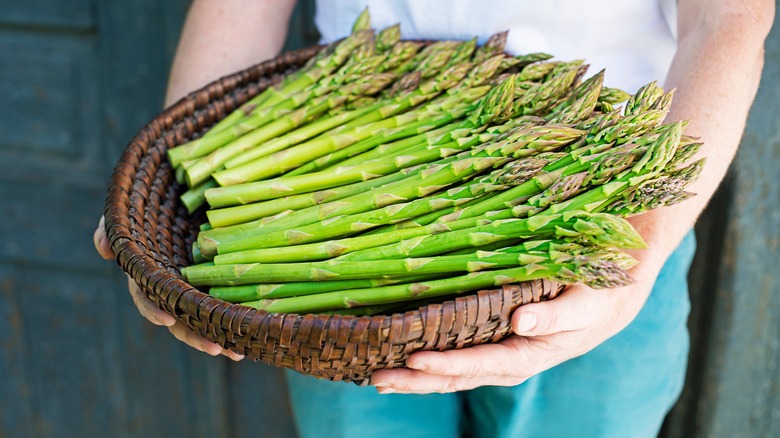 A person holding a woven basket with loads of fresh asparagus