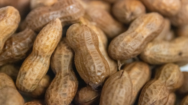 boiled peanuts
