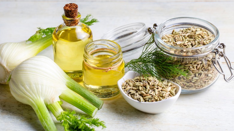fennel seeds, bulbs, and oil on a marble counter