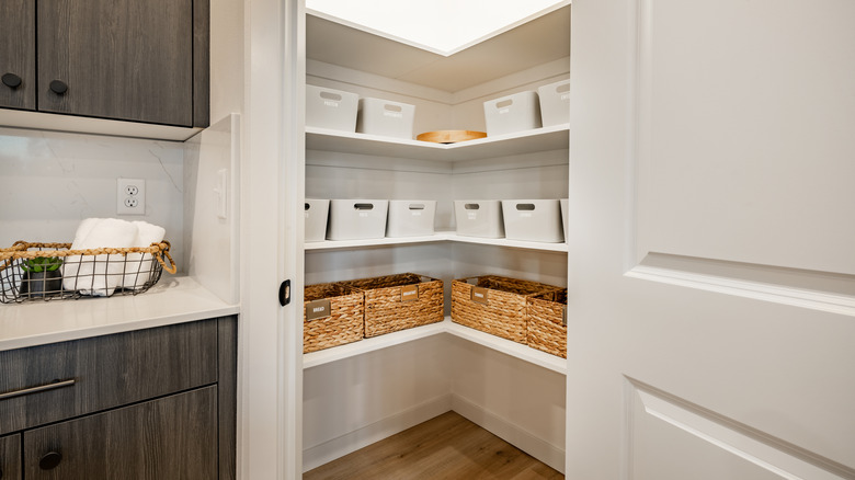 Kitchen pantry with door partially closed
