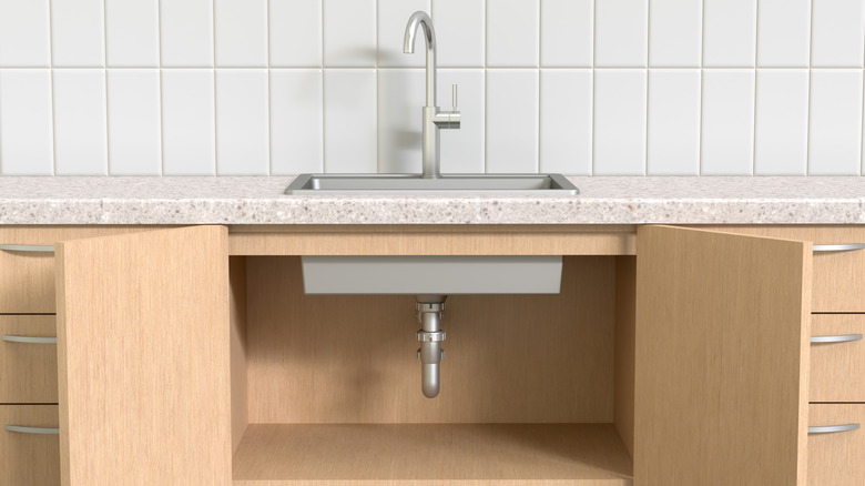 The doors to a cabinet under a kitchen sink are open to reveal nothing inside.