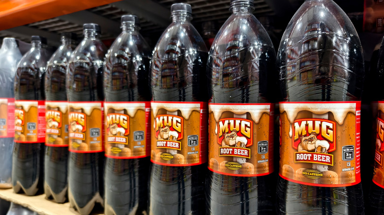 Bottles of Mug root beer in a row on a store shelf