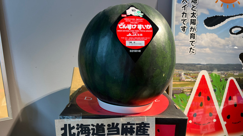 A Densuke watermelon in Japan.