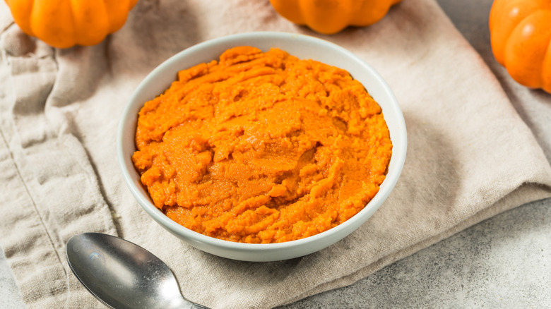 A bowl of canned pumpkin purée on a tea towel, surrounded by small pumpkins.