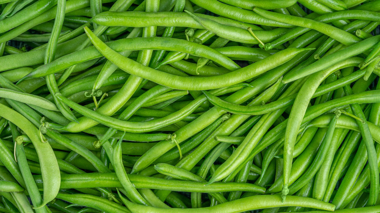 Pile of fresh green beans