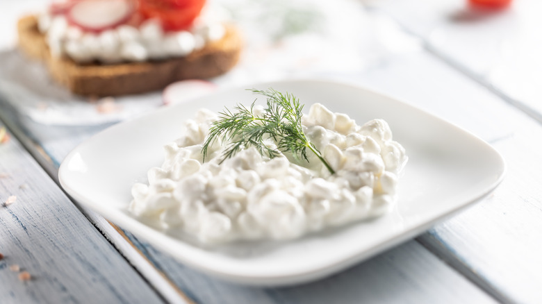 Cottage cheese on a white plate