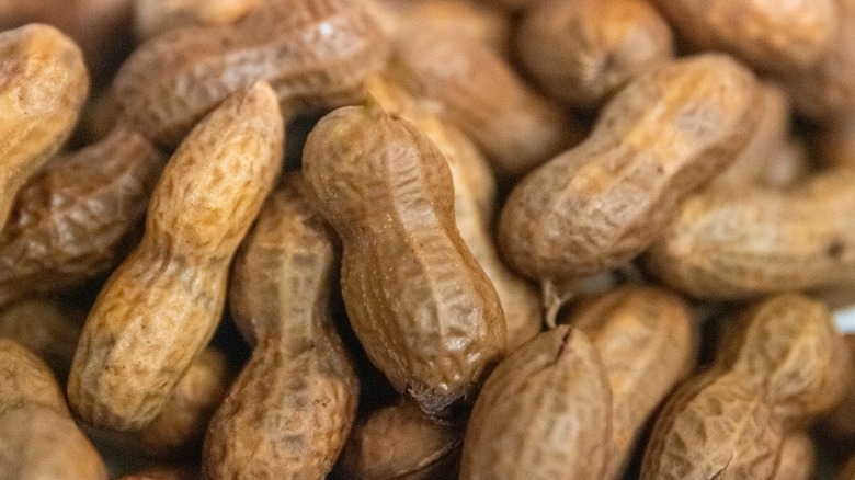 Boiled peanuts