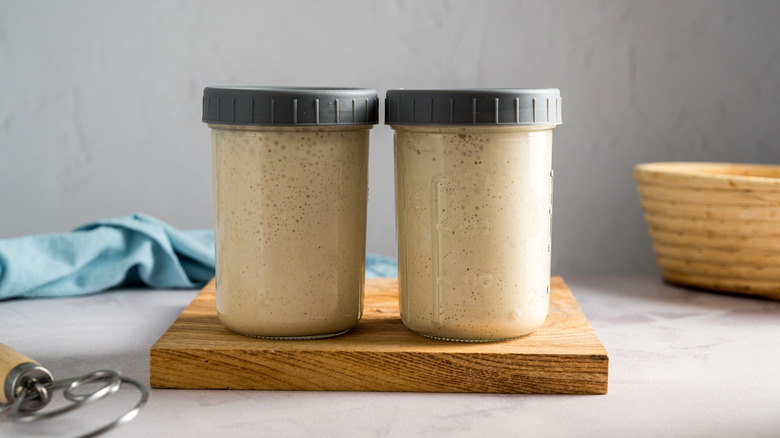 Two lidded glass jars of sourdough starter are on a cutting board.