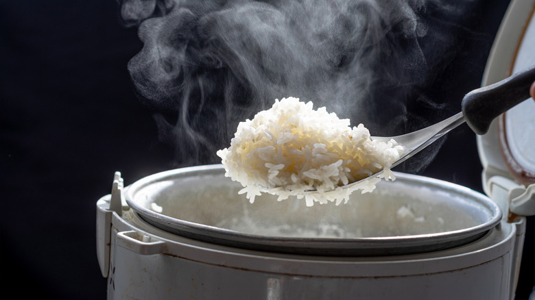 Spoon of freshly steamed rice above an open rice cooker.