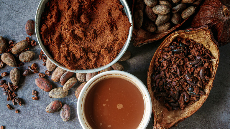 cocoa powder, cocoa beans, and cacao drink on a table
