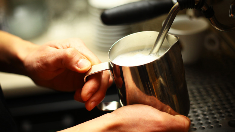 Barista steaming milk using a steam wand