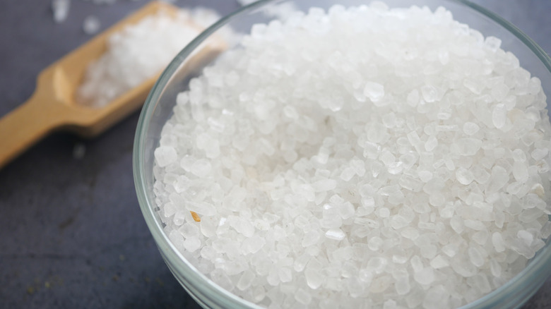 A bowl of coarse salt with a wooden spoon behind it