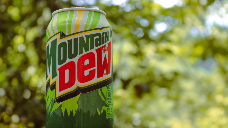 A close up of a Mountain Dew can with a bright forest background