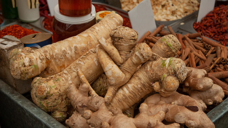 Horseradish