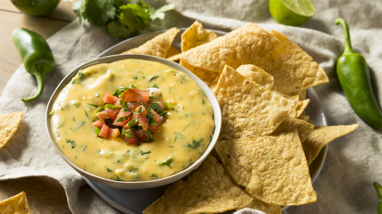 Seasoned queso dip on a plate with nachos.