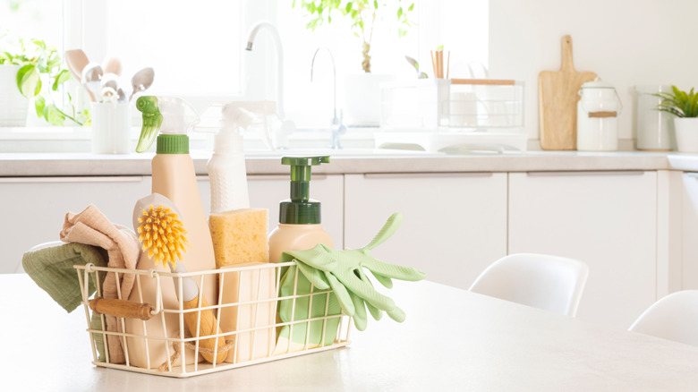 kitchen sink caddy with soap and gloves