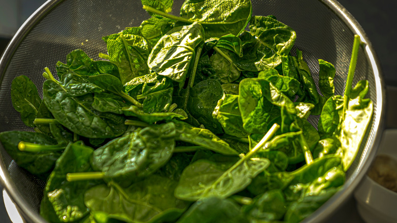spinach in a strainer