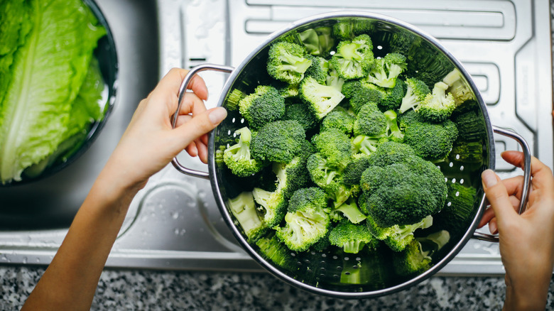 Hands holding a bowl of broccoli
