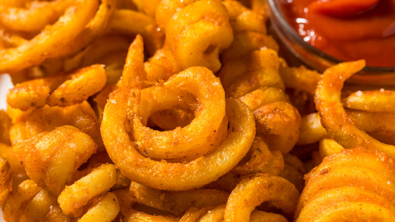 Seasoned curly fries with a side of ketchup