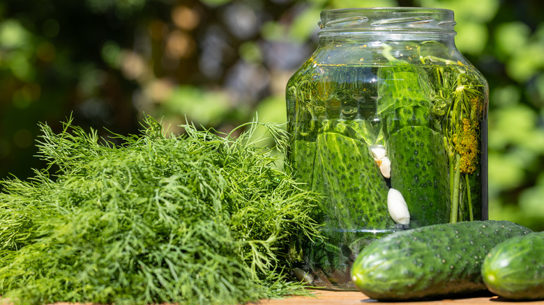 jar of pickles with spices and garlic